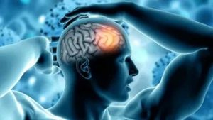 What are the Potential Benefits of Nootropic Pouches?插图 Nootropic Pouches