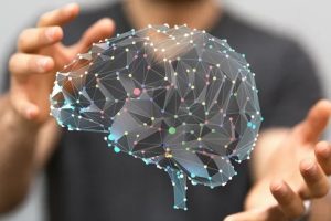 How Do Nootropics Pouches Work?插图 Nootropic Pouches