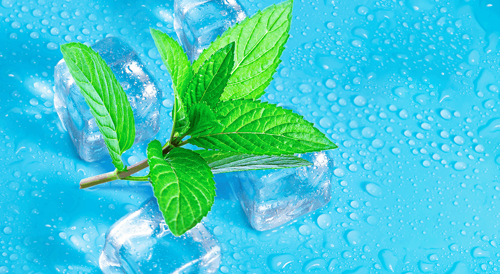 Home插图8 Nicotine Pouches MINT falvor