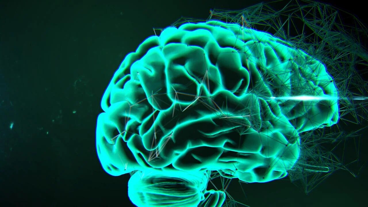 Nootropic Pouches