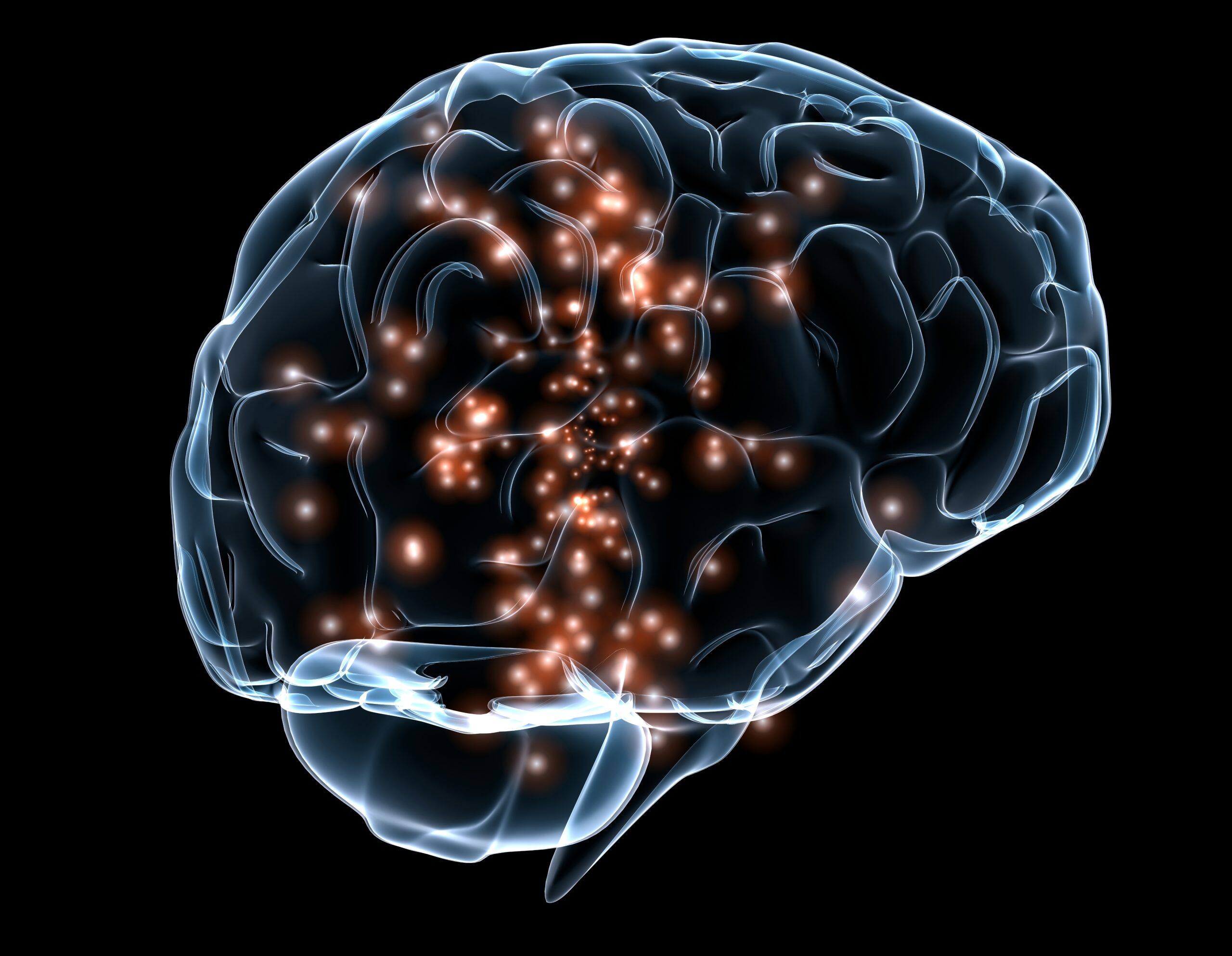 Nootropic Pouches