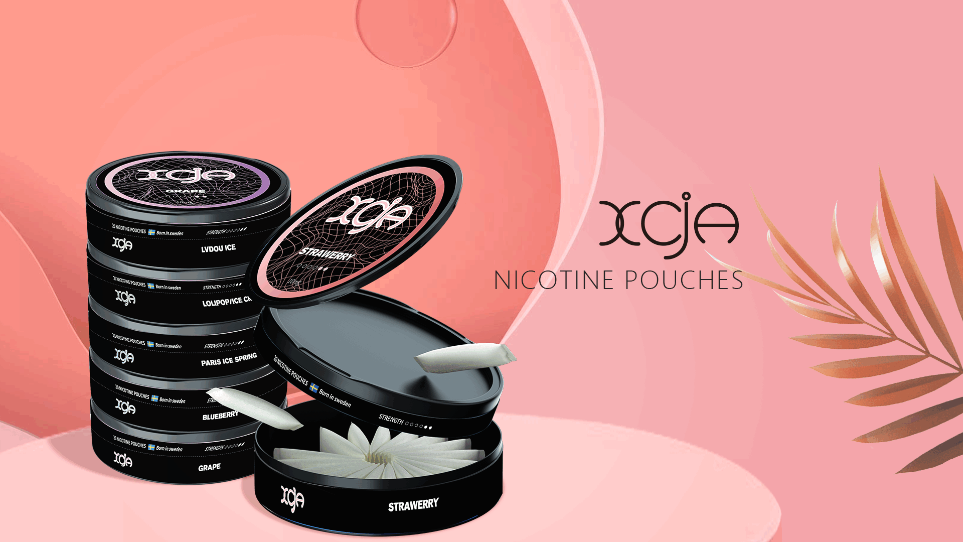 Why Do People Appreciate Nicotine Pouches? Reasons People Love Nicotine Pouches?插图 Reasons People Love Nicotine Pouches