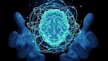 Composition and Benefits of Nootropic Energy Pouches插图 Nootropic Pouches