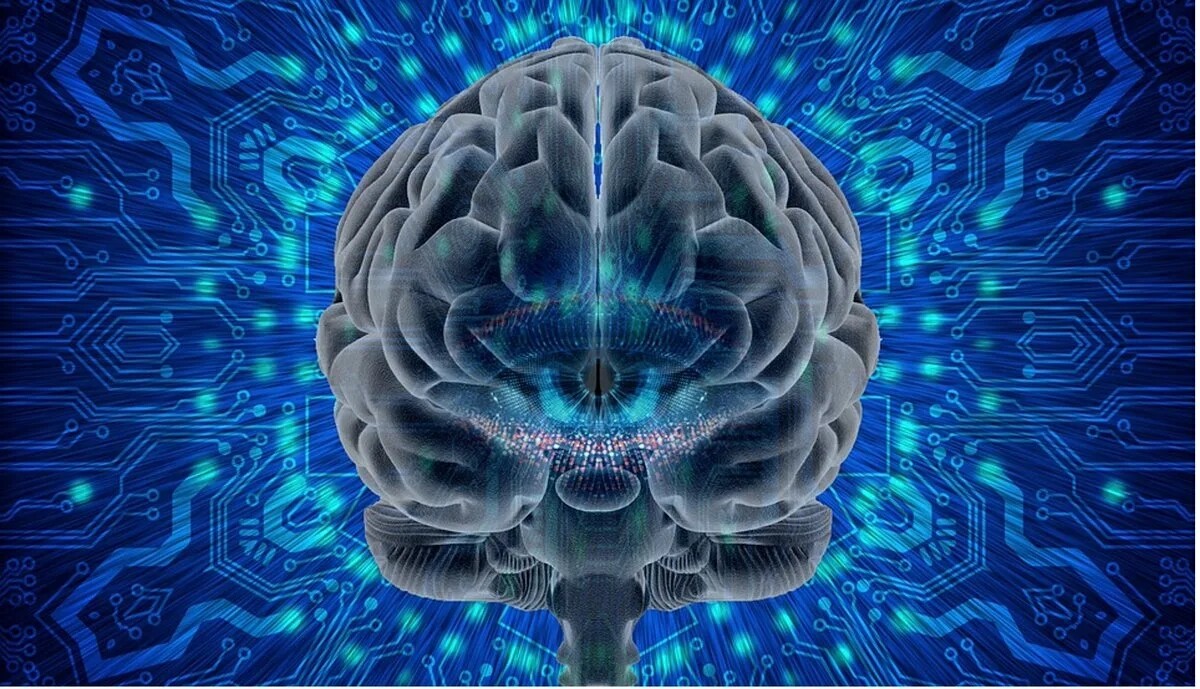 Nootropic Energy Pouches in Daily Life: Real-World Applications插图 Nootropic Pouches