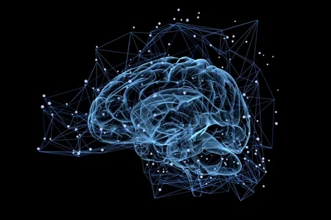 Introduction to Nootropic Pouches in Modern Lifestyle插图 Nootropic Pouches
