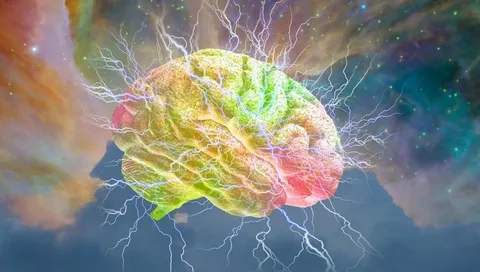 The Science Behind Nootropic Pouches插图 Nootropic Pouches