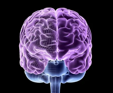 The Convenience Factor of Nootropic Pouches插图 The Convenience Factor of Nootropic Pouches