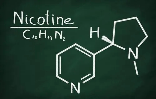 Does Nicotine Pouches cause cancer?插图 Does Nicotine cause cancer?