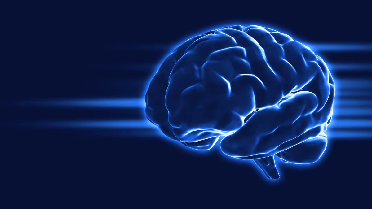 The Science Behind Nootropic Energy Pouches插图 Nootropic Pouches